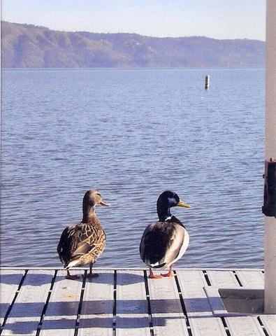 Lakeport The Mallard House Inn المرافق الصورة
